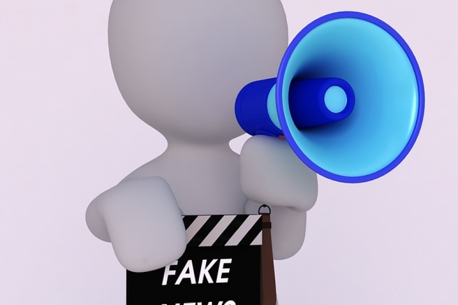 To successfully deal with falsehoods, professional journalists are needed, not amateurs