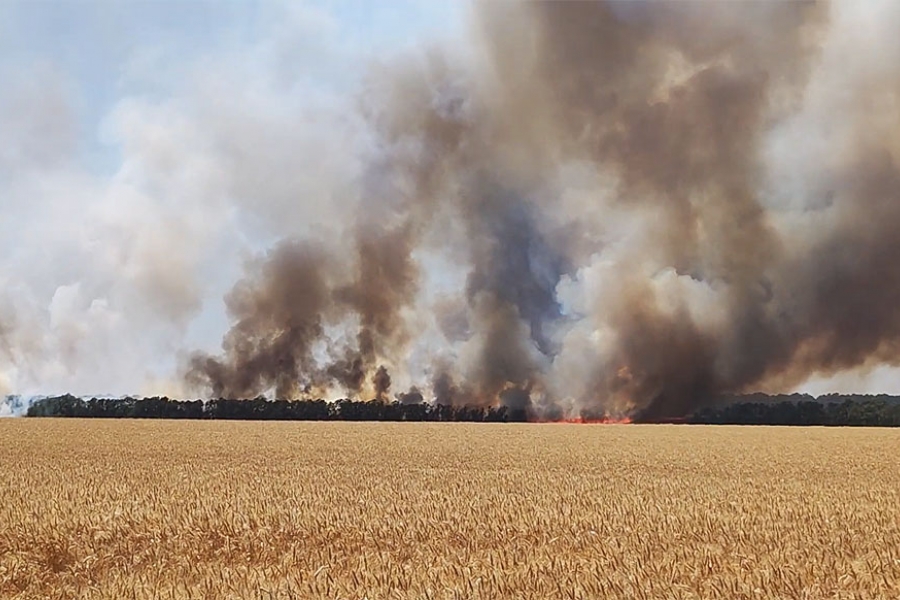 Antivakseri prebacili fokus – sada tvituju o globalnoj nestašici hrane