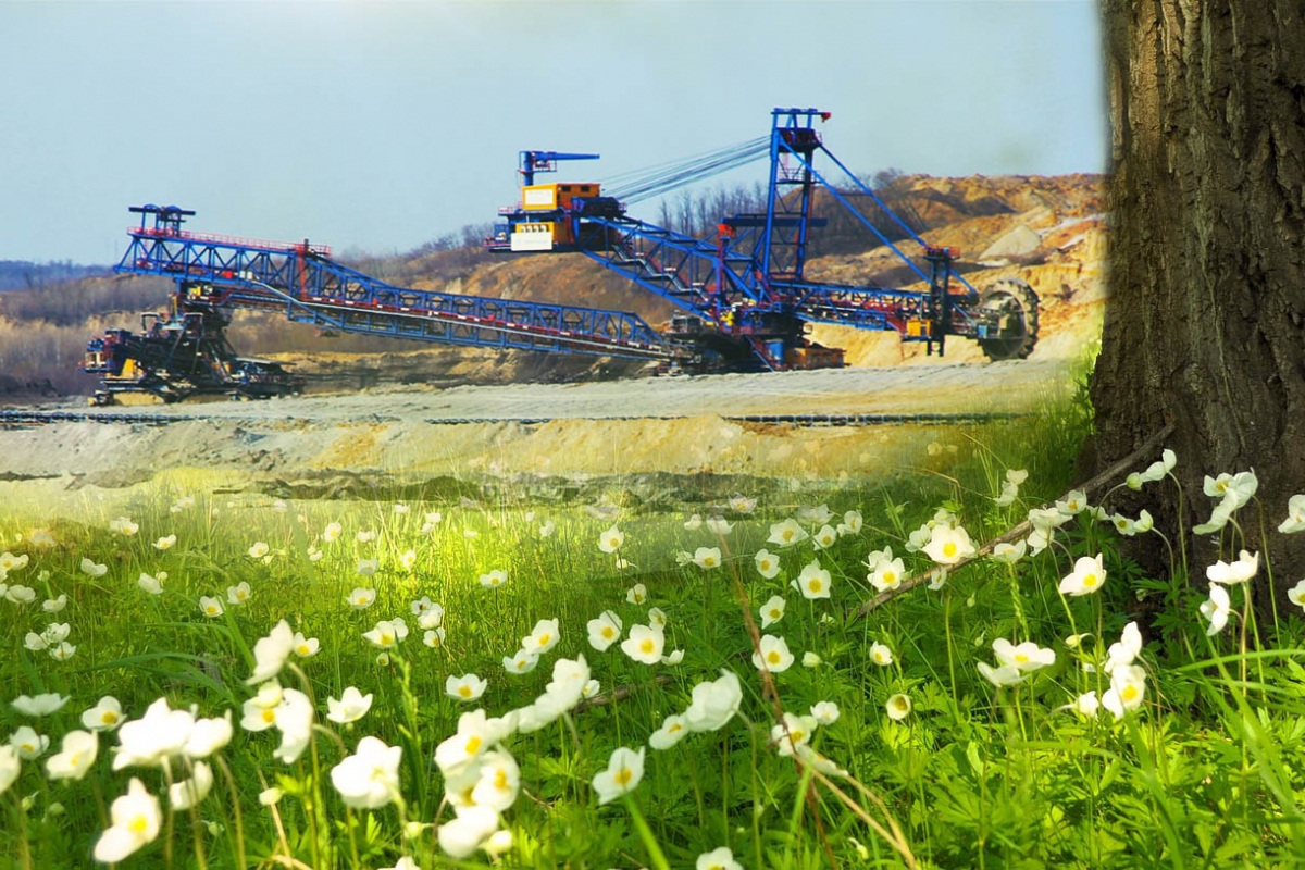 Koliko košta ekonomija improvizacije